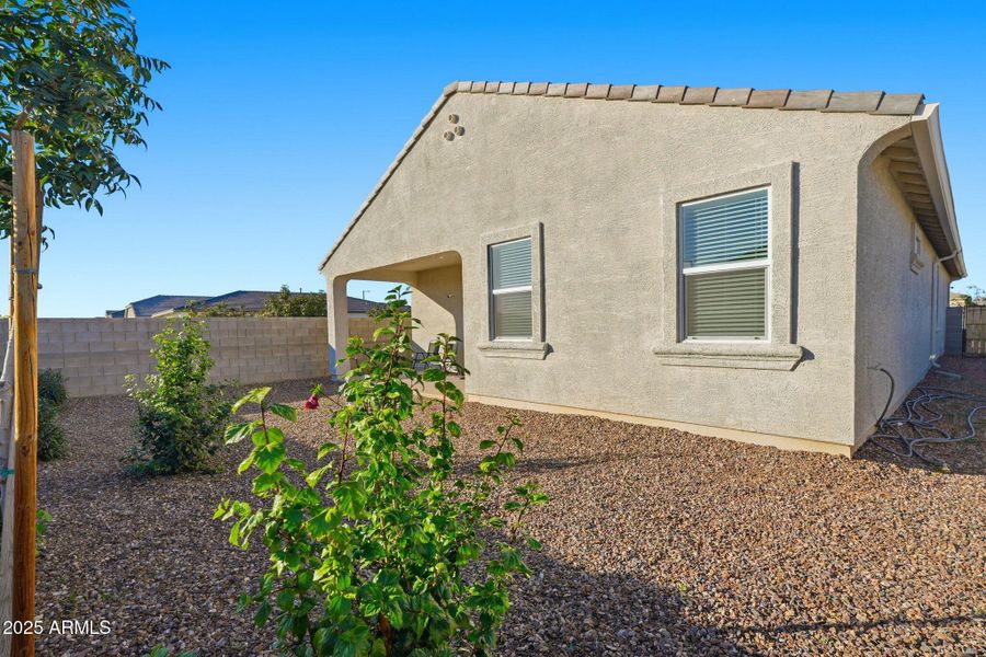 Backyard Desert Landscape