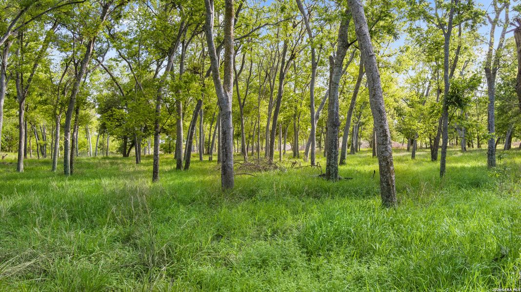 Natural landscape and outdoor views near Chaparral Ranch in Floresville (Image 17).