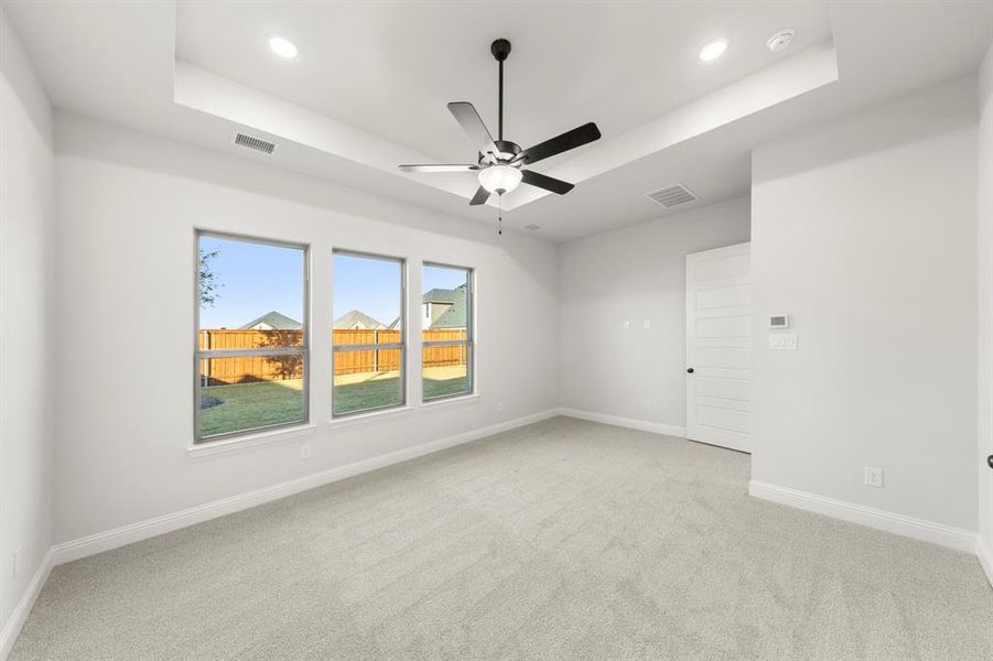 17. 320 Bee Balm - Primary