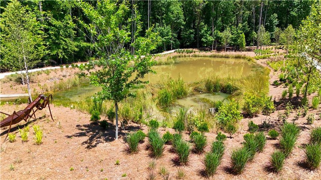 Natural landscape and outdoor views near Ecco Park in Alpharetta (Image 45). Natural landscape and outdoor views near Ecco Park in Alpharetta (Image 45).