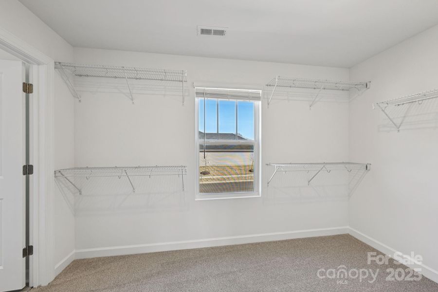 Spacious, unfurnished interior of a new home in Oxford Station, Salisbury (Image 13).