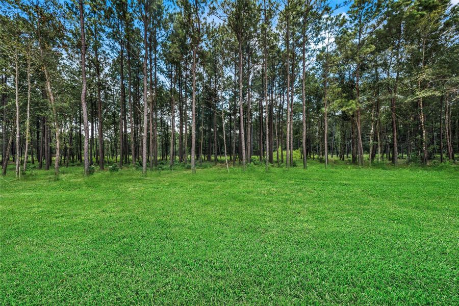 Natural landscape and outdoor views near Deer Pines in Conroe (Image 34).