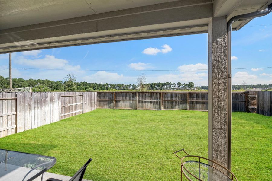 Another view of the backyard.