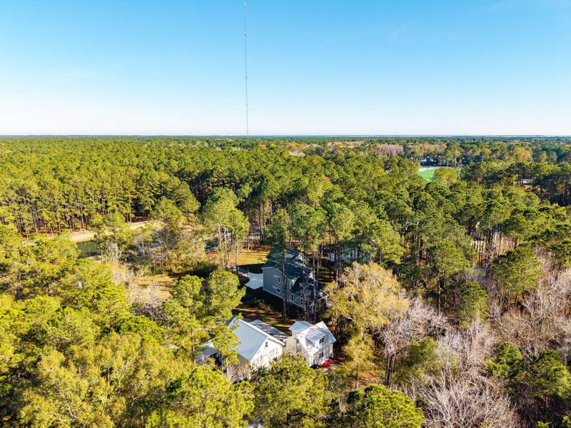 Natural landscape and outdoor views near  in Awendaw (Image 67).