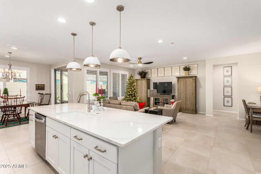 12-Cactus Wren 12-Cactus Wren