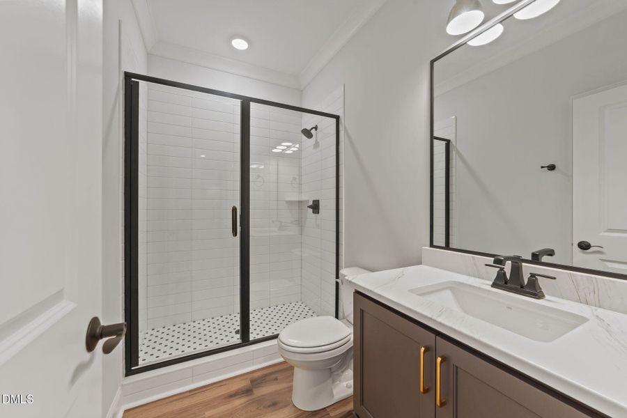 42-web-or-mls-VB4A3727