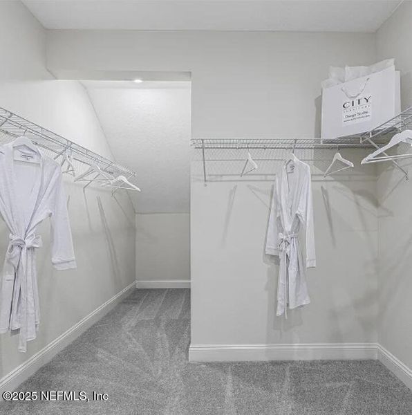 Spacious, unfurnished interior of a new home in Russell Retreat, Green Cove Springs (Image 19).