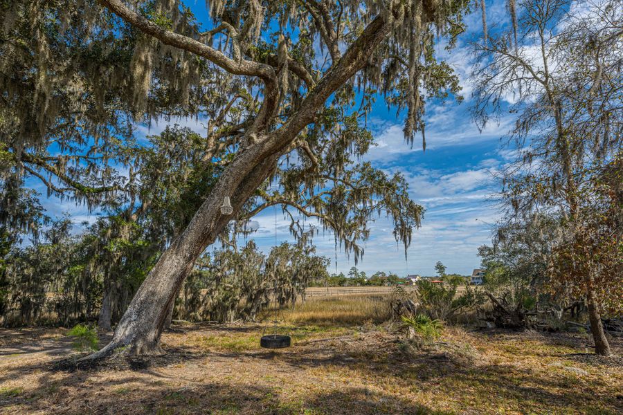 Natural landscape and outdoor views near in Johns Island (Image 72). Natural landscape and outdoor views near in Johns Island (Image 72).