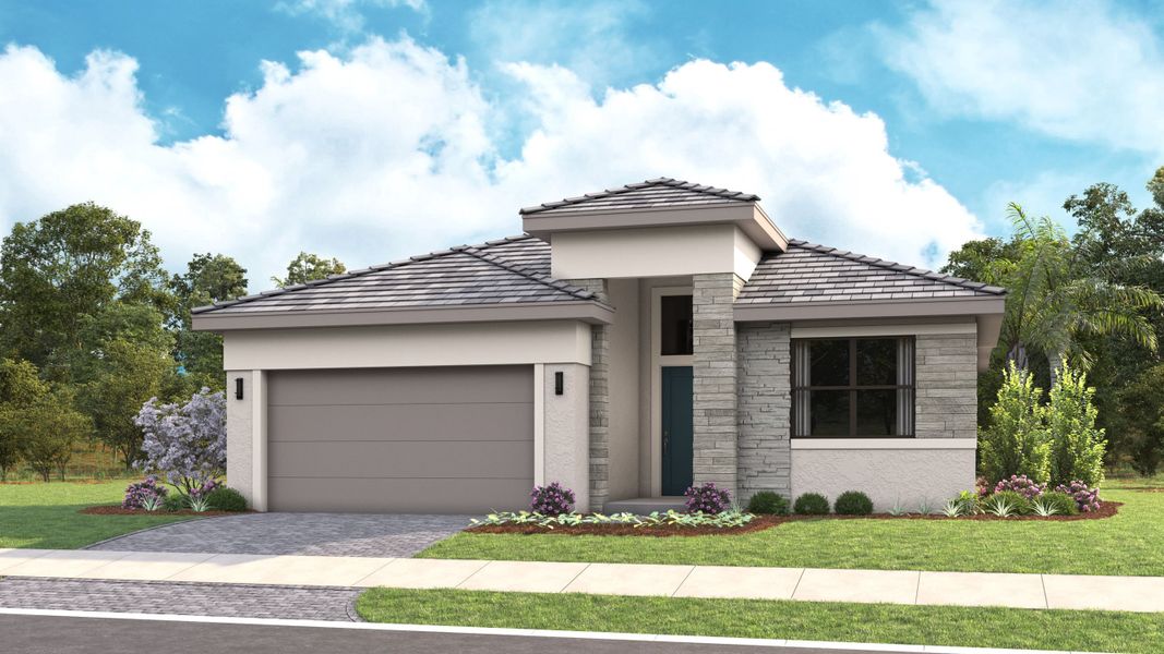 Tropical Modern Elevation