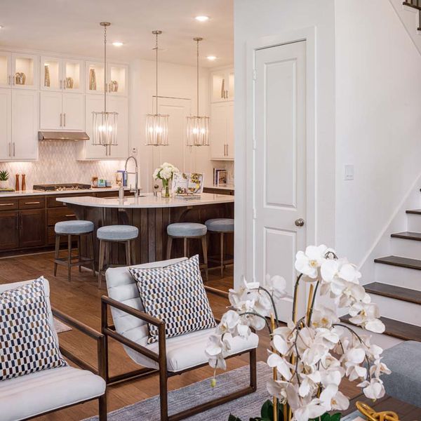 Representative Family Room - some options shown