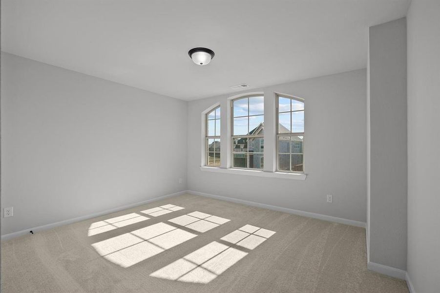 Arched window with gridded panes, light-toned carpeting, neutral wall color, white trim, and flush-mount ceiling light fixture Arched window with gridded panes, light-toned carpeting, neutral wall color, white trim, and flush-mount ceiling light fixture