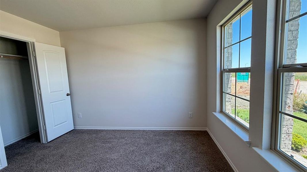 Spacious room with plush carpet flooring, light neutral wall paint, and multiple windows featuring grid patterns