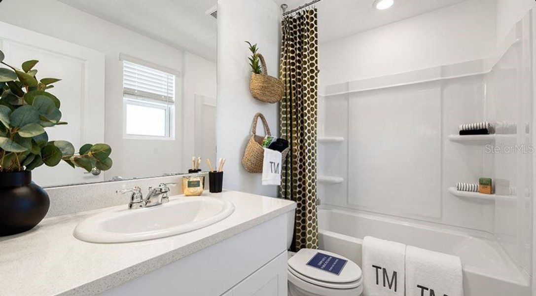 REPRESENTATIVE PHOTOS