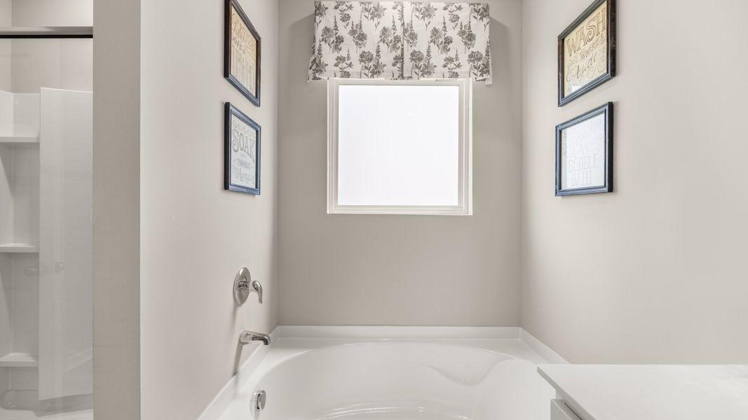 Representative interior finishes for a home built from the Elle by D.R. Horton in Twin Lakes, Hoschton (Image 21).