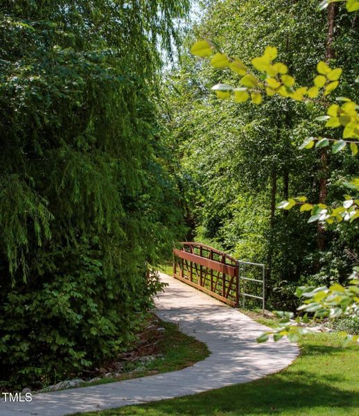 Mews trails in the community