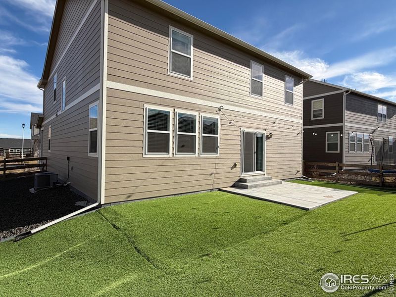 Turf for permanent green space and low maintenance Turf for permanent green space and low maintenance