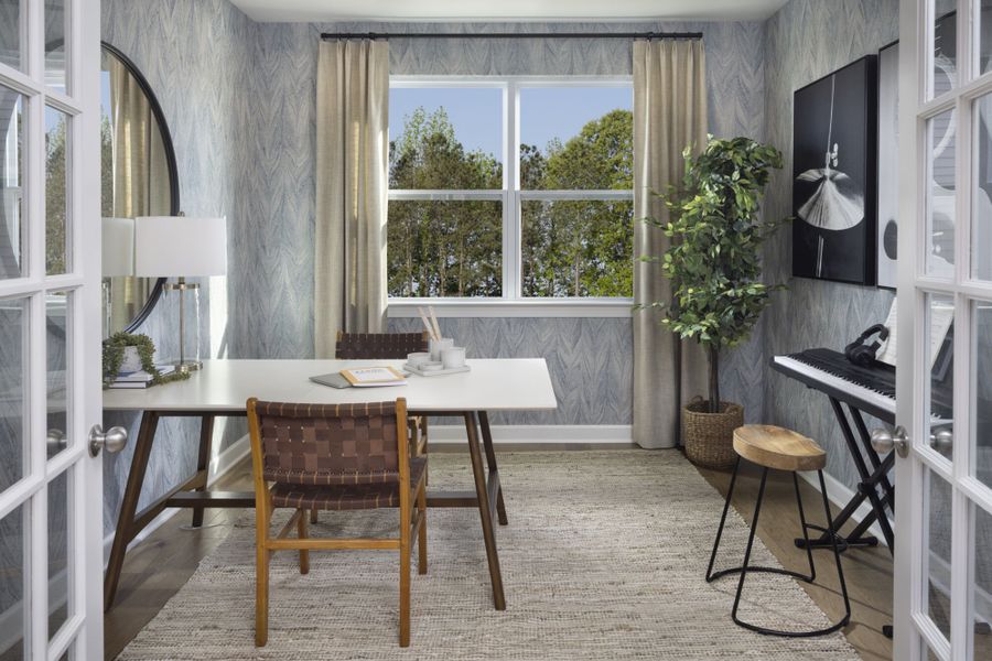*Photo Representation of the Sequoia Study *Photo Representation of the Sequoia Study