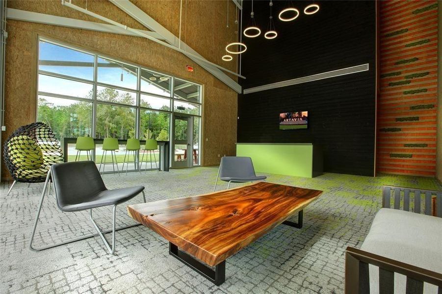 Community amenities in Artavia: Avante Collection, Conroe (Image 28).