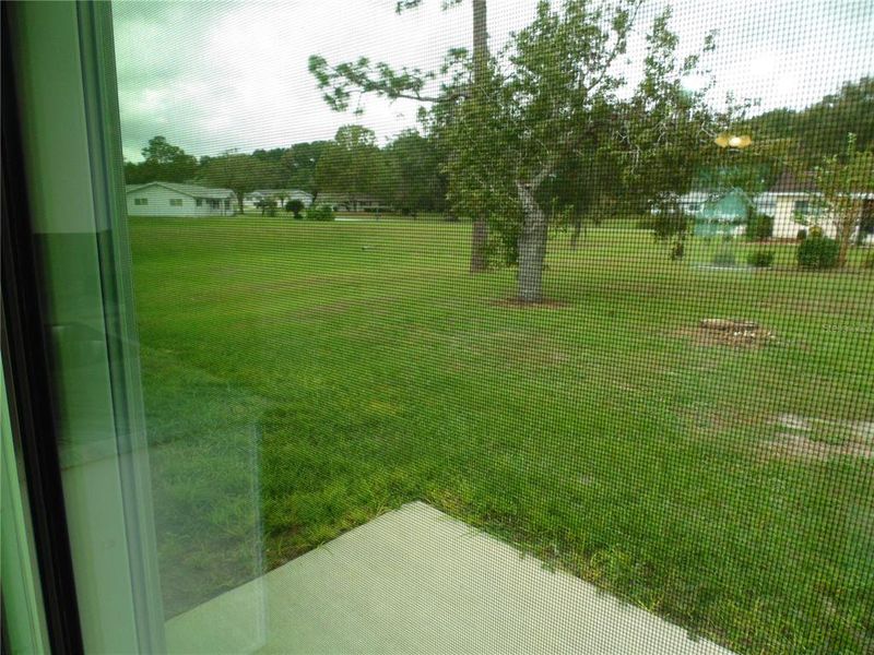 Natural landscape and outdoor views near  in Ocala (Image 20).