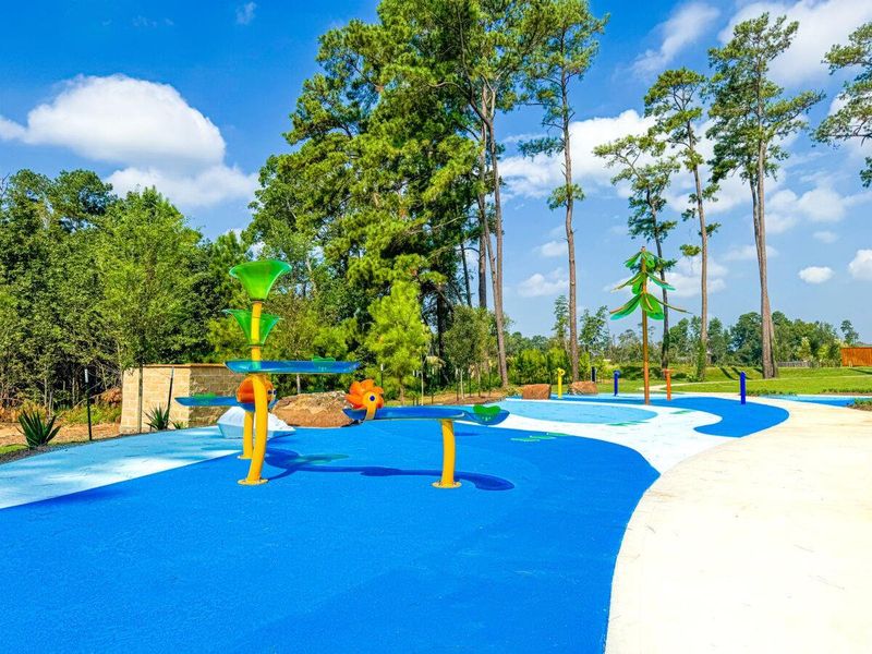 Community amenities in Moran Ranch, Willis (Image 22).