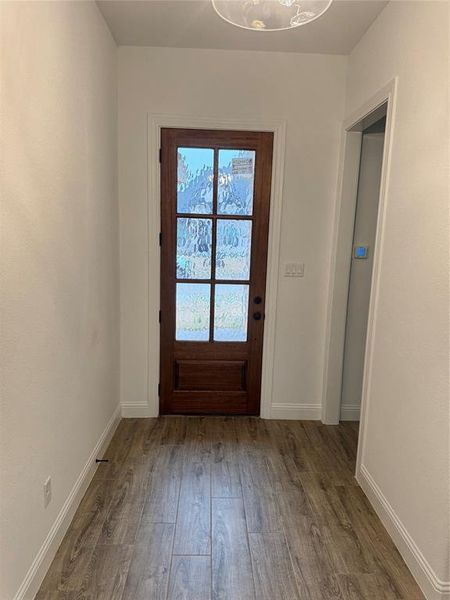 Doorway to outside with dark hardwood / wood-style floors