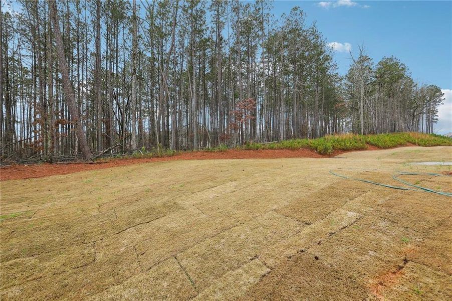 Image 37 of a home in The Pointe at Heron Bay.