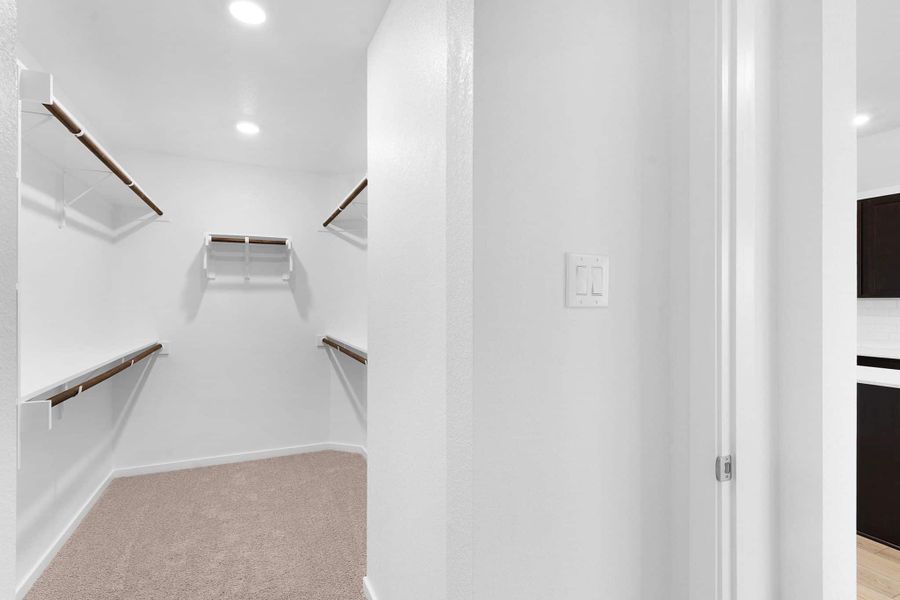 Spacious, unfurnished interior of a new home in Briarwood, Elgin (Image 15).