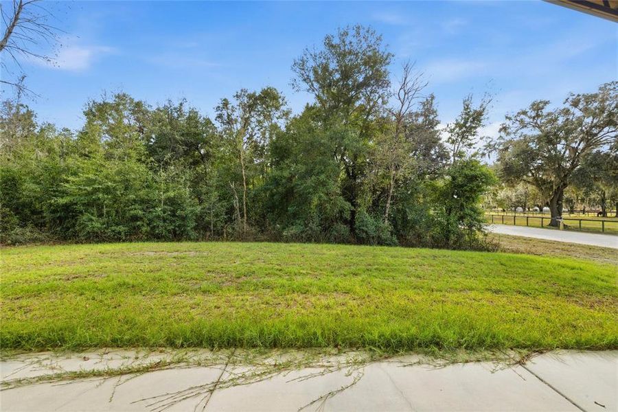 Natural landscape and outdoor views near  in Williston (Image 27).