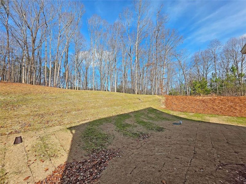 Natural landscape and outdoor views near  in Gainesville (Image 41).