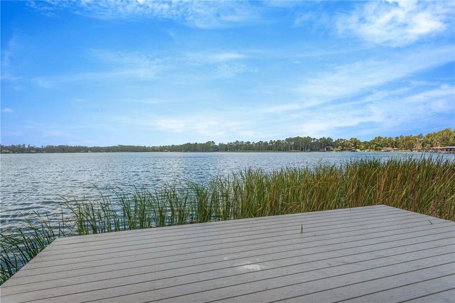 Natural landscape and outdoor views near  in Land O' Lakes (Image 25).