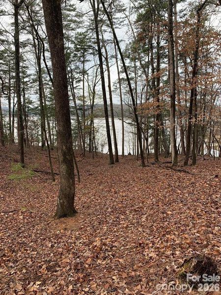 Natural landscape and outdoor views near  in New London (Image 12).