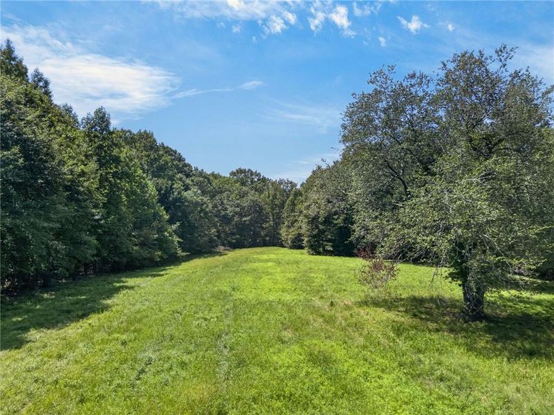 Natural landscape and outdoor views near  in Waco (Image 37).