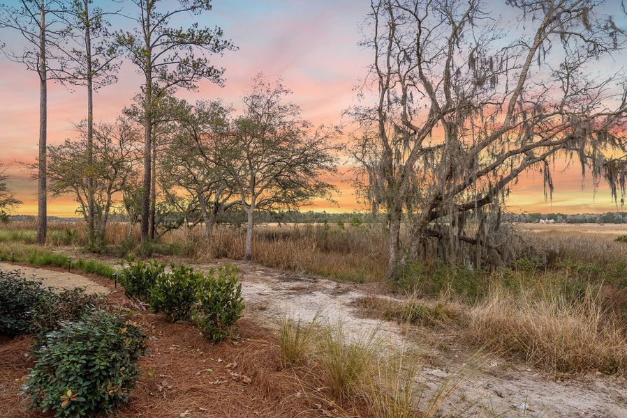 Natural landscape and outdoor views near  in Ravenel (Image 36).
