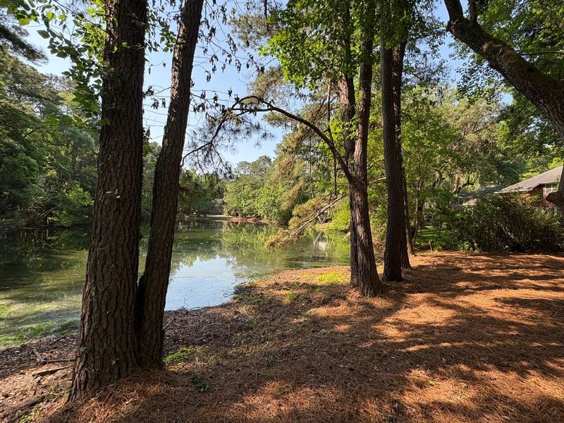 Natural landscape and outdoor views near  in Hollywood (Image 47).
