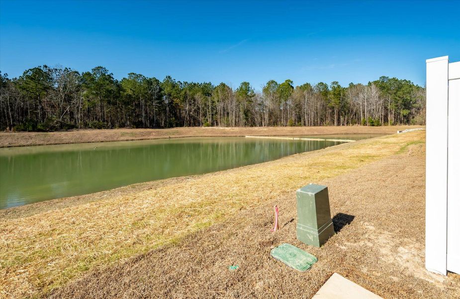 Exterior details and patio area of a home in The Landings at Montague, Goose Creek (Image 31).