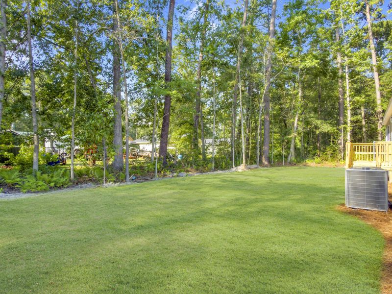 Natural landscape and outdoor views near in Ravenel (Image 35). Natural landscape and outdoor views near in Ravenel (Image 35).