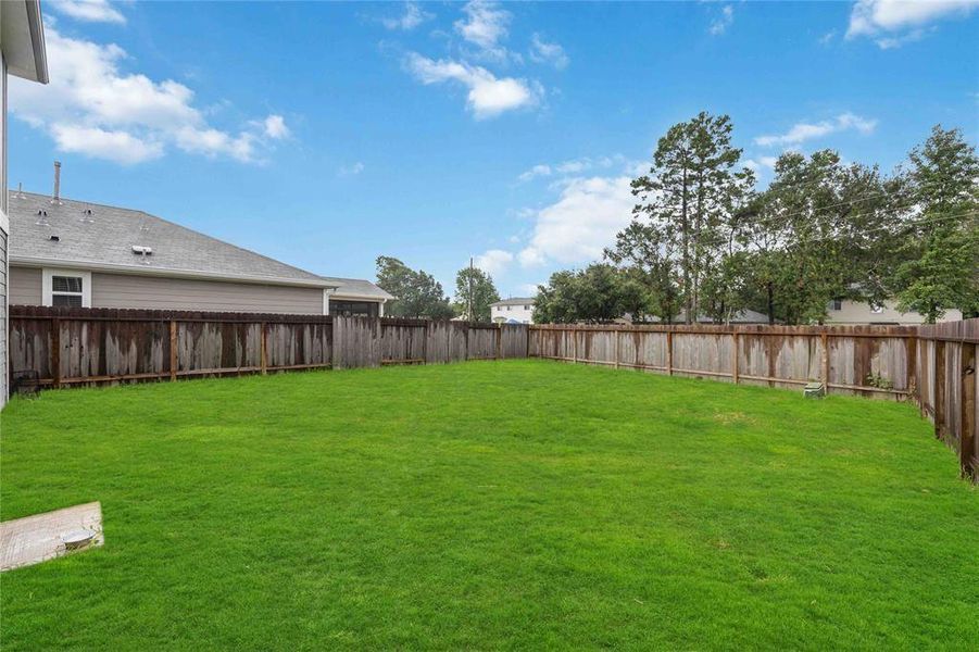 Oversized Backyard Lot!