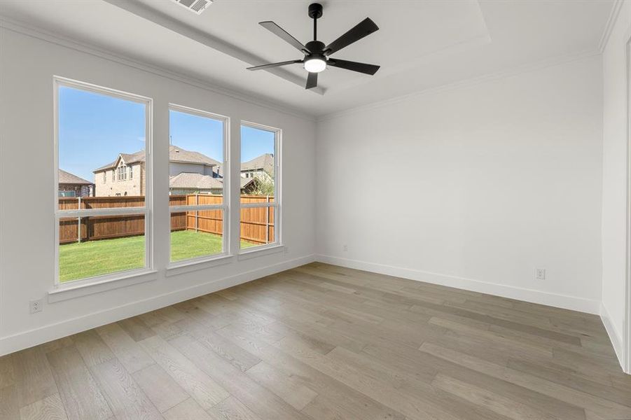 16. 4717 Allende - Primary