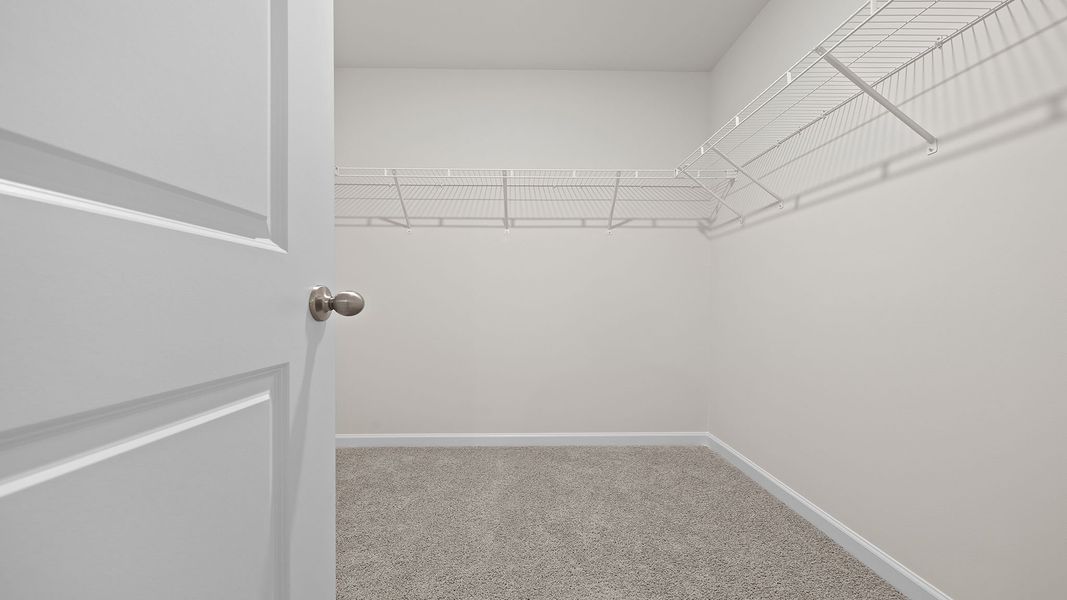 Spacious, unfurnished interior of a new home in Harrier Point, Woodruff (Image 27).