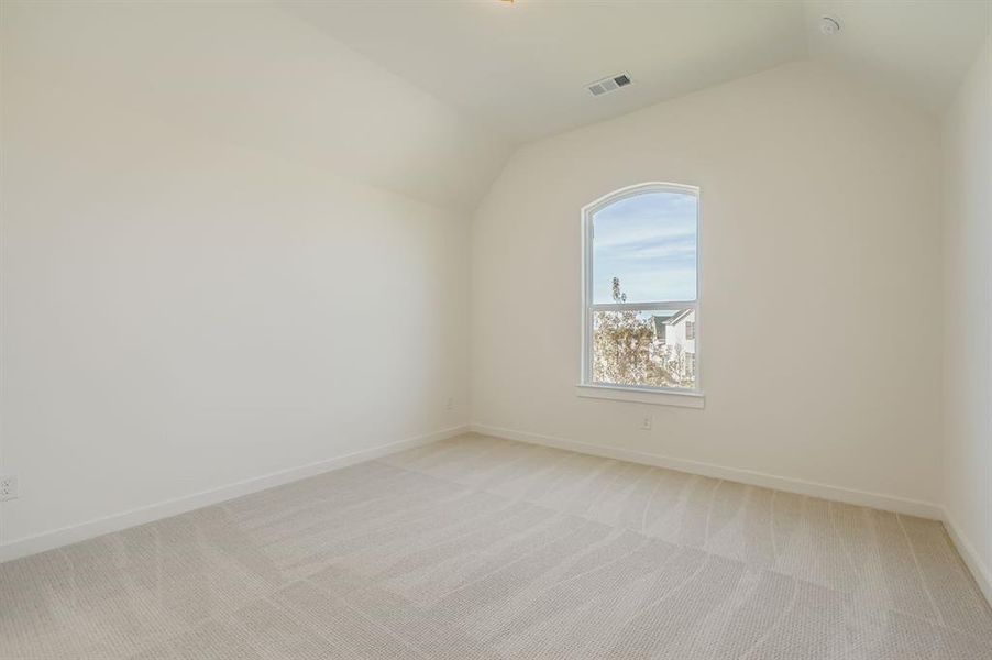 Bonus room with carpet and vaulted ceiling