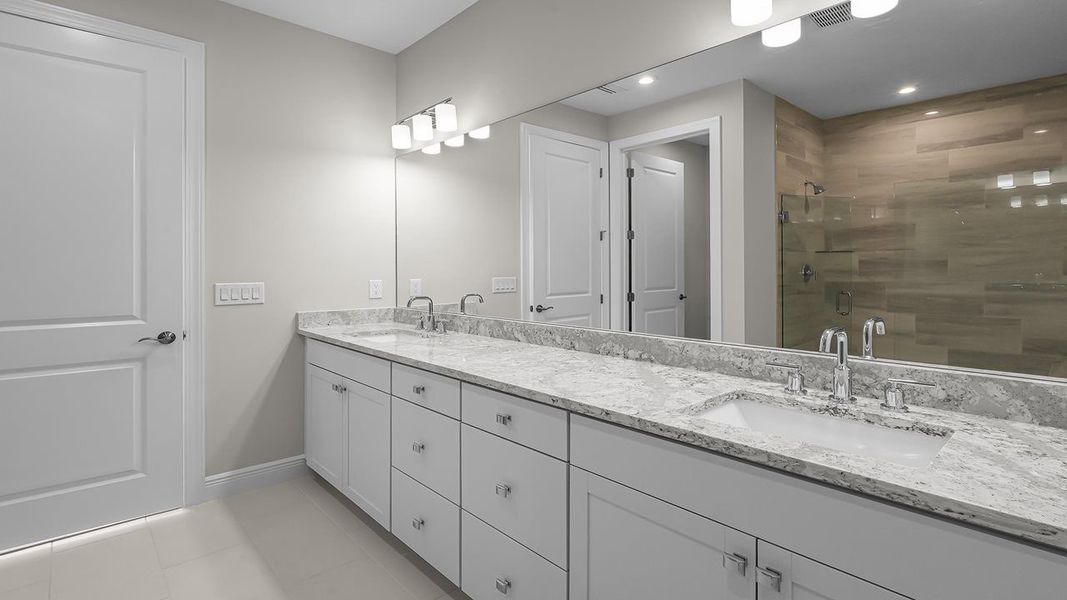 Owner's Bath