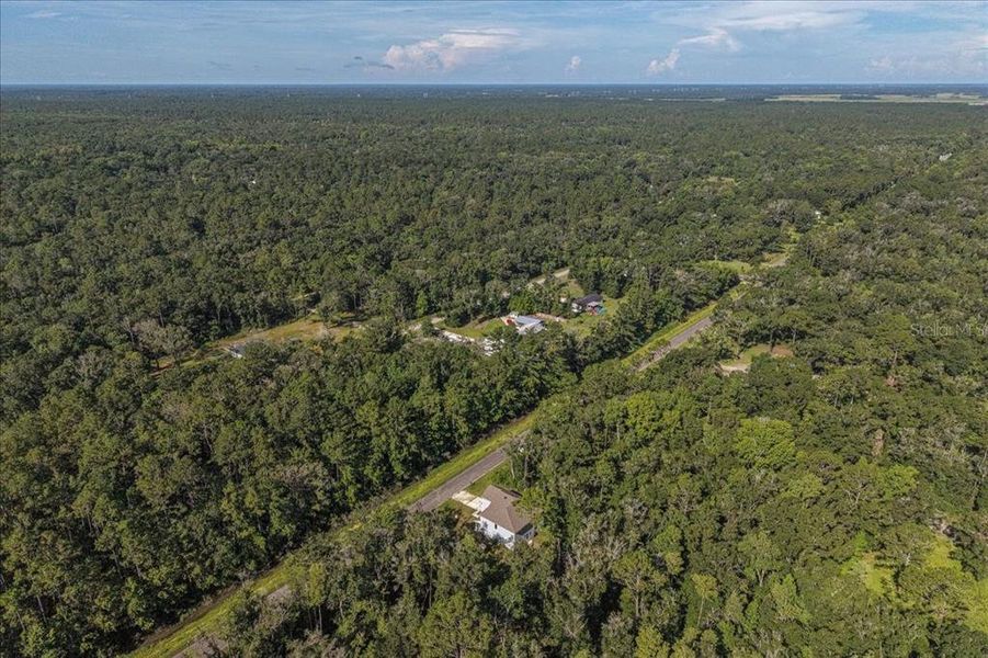 Natural landscape and outdoor views near Flagler Estates in Hastings (Image 57).