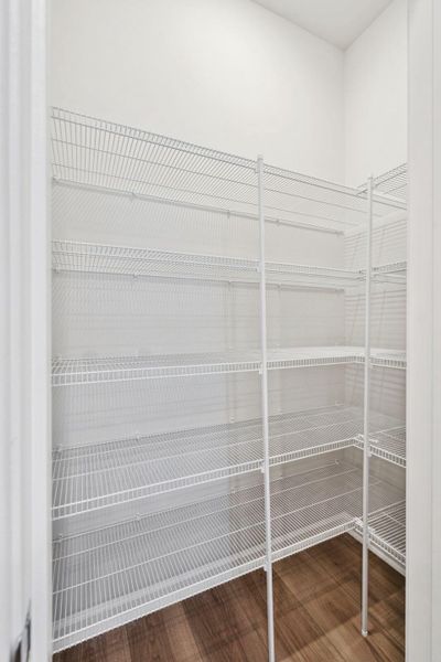 Spacious, unfurnished interior of a new home in Saint John's Lake: Arbor Collection, Johns Island (Image 55).