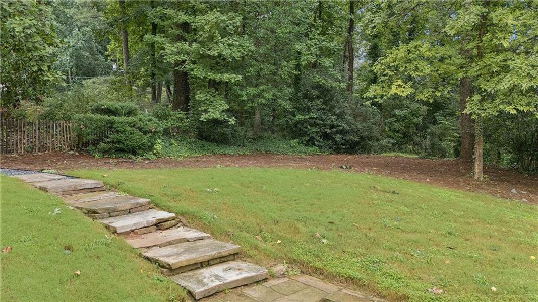 Natural landscape and outdoor views near  in Atlanta (Image 76).