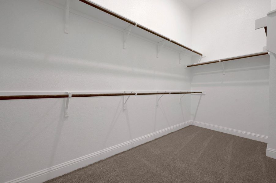Walk in closet with carpet flooring