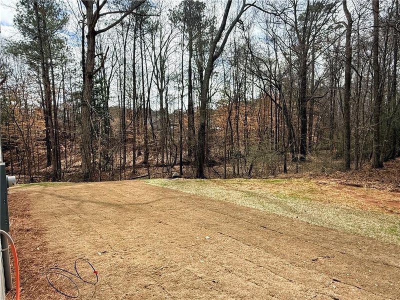 Natural landscape and outdoor views near  in Gray (Image 47).