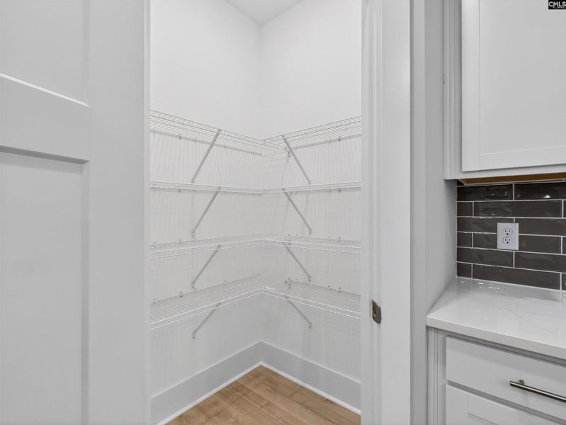 Spacious, unfurnished interior of a new home in Collins Cove, Chapin (Image 39).