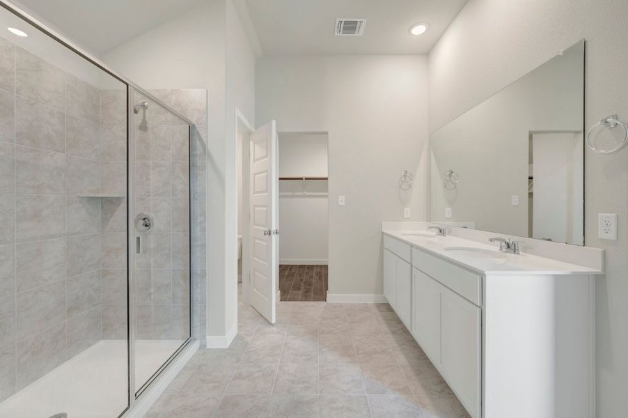 Owner's Bathroom