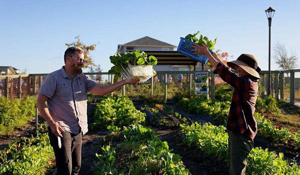 Community Garden