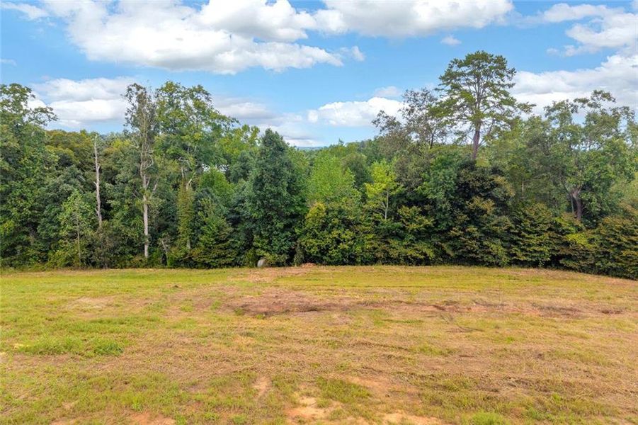 Natural landscape and outdoor views near  in Toccoa (Image 37).